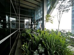 Sbf Center (D1), Office #558427571